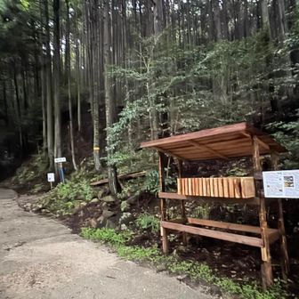 遠足尾根から登っていきます
肩は軟弱なので担げません