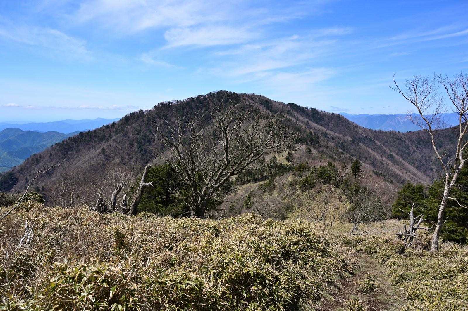 歩いてきた毛無山、大見岳を振り返る。
ここは富士山展望の最高の稜線でした
