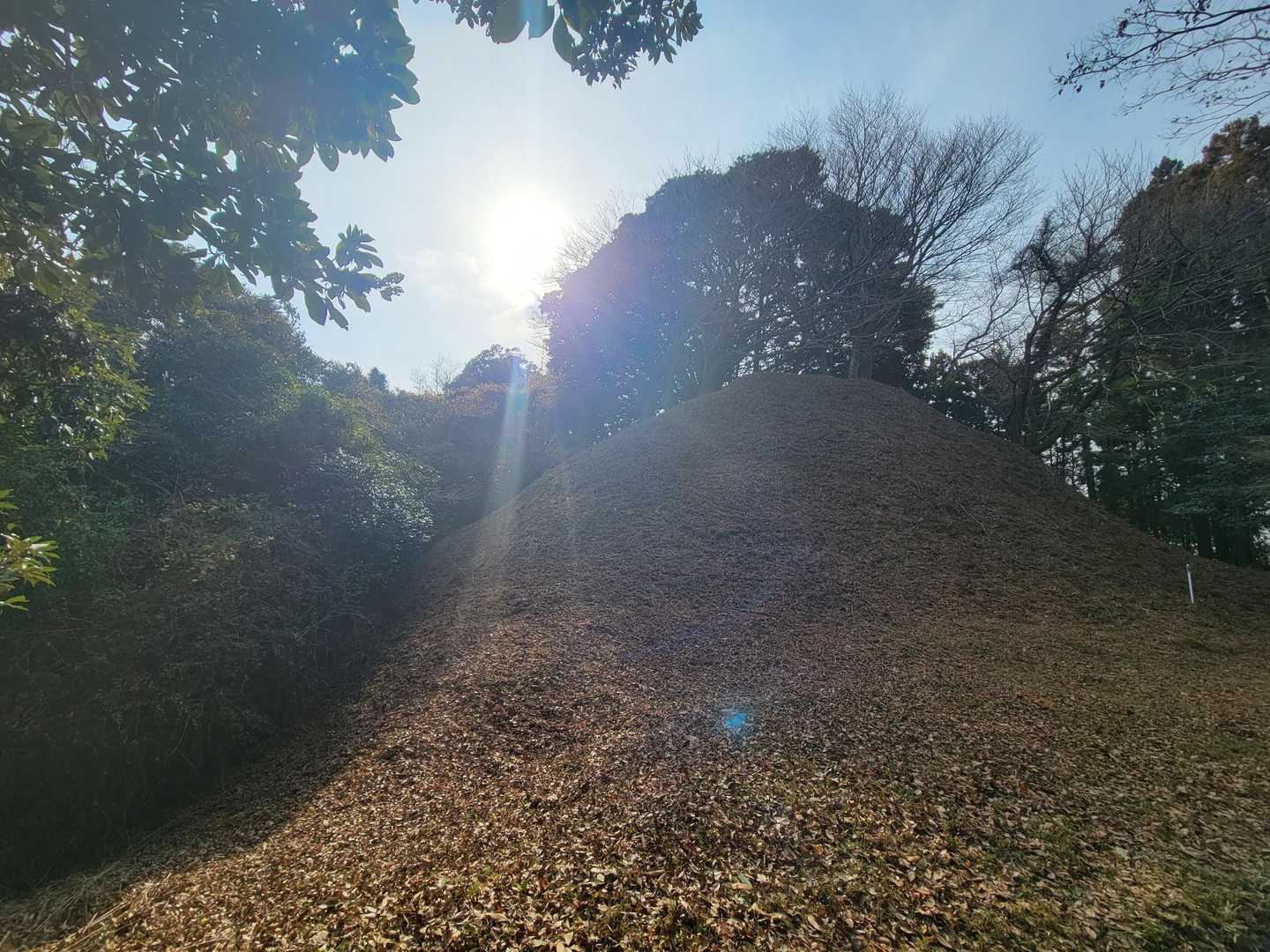 桝形山 往復コースの写真