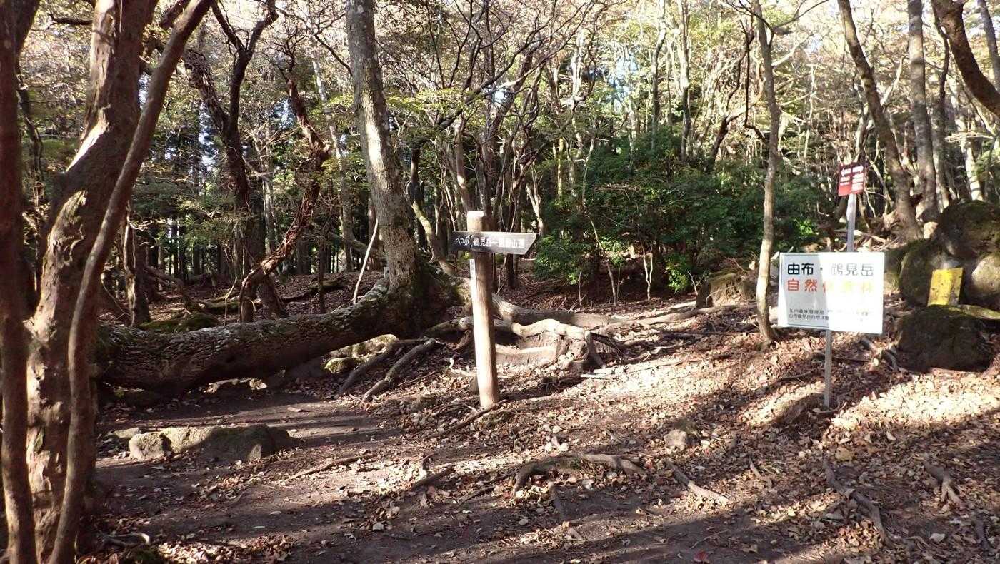 いつもの天然ベンチで一息。