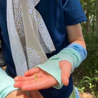 休憩中ずっとシャクトリムシと遊ぶジージョ🐛