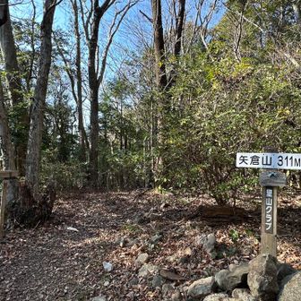 お隣の『矢倉山』に来ました⛰️