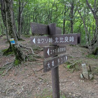 また中峠まで来ました
一周まわったよ
