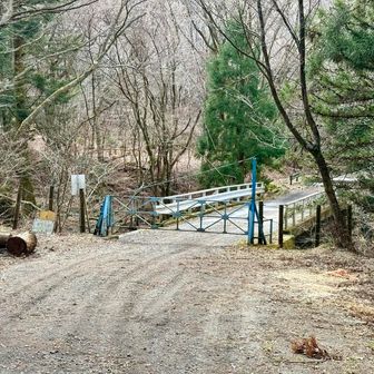 ショートカットしながら林道ゲートに無事到着👍