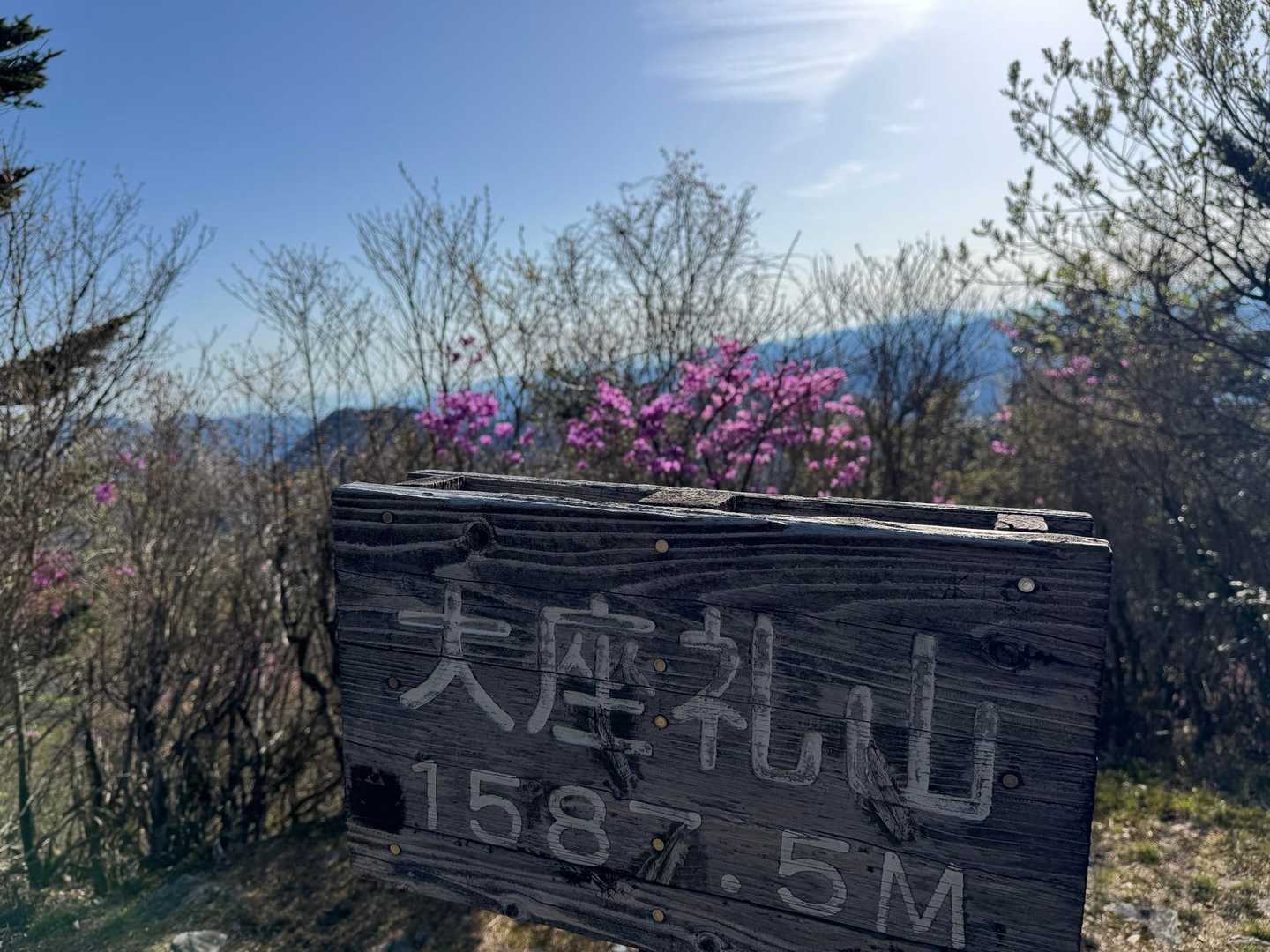 大座礼山登山口-井野川越-大座礼山-大田尾越 周回コースの写真