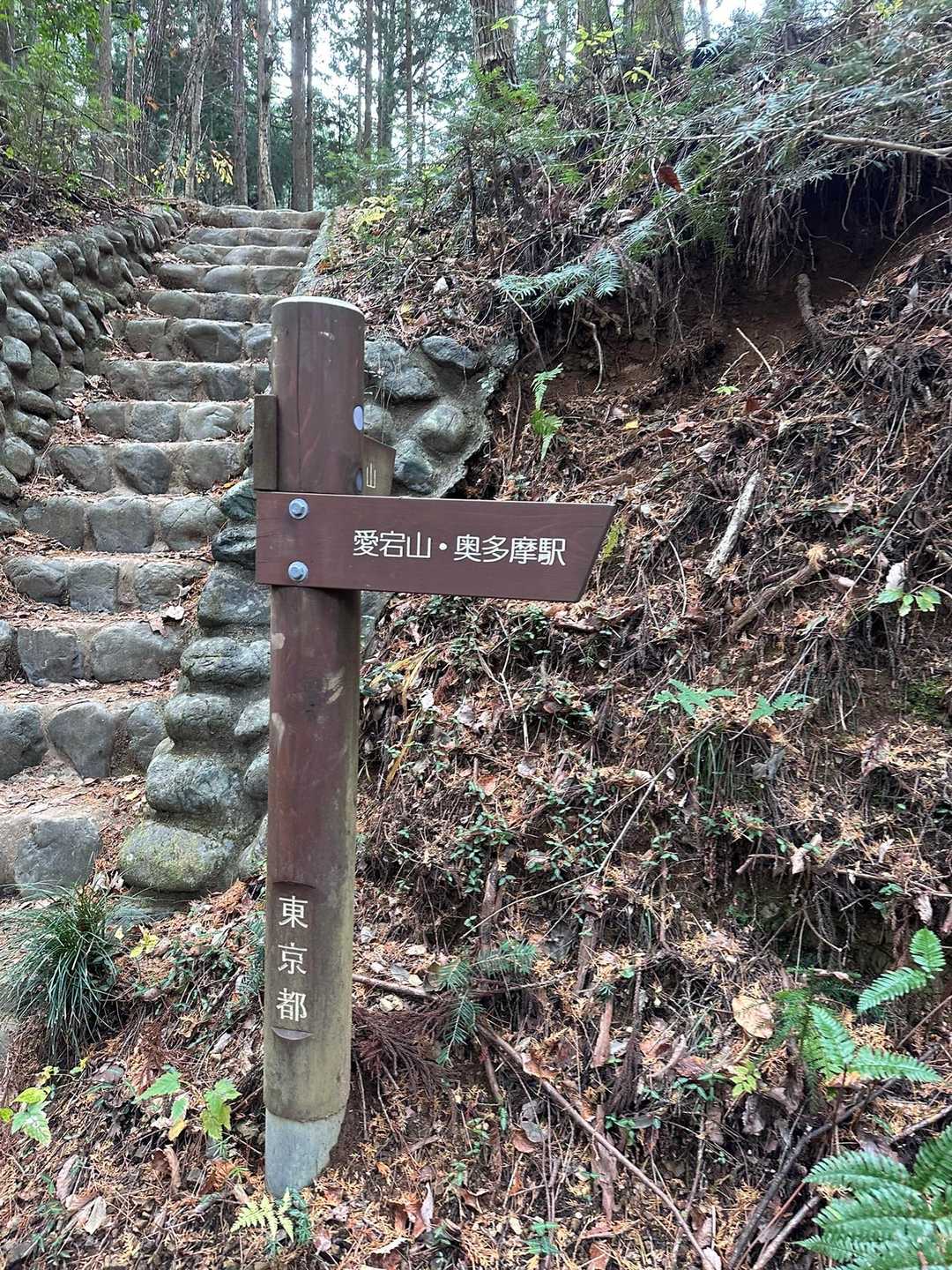 愛宕山-鋸山 往復コースの写真