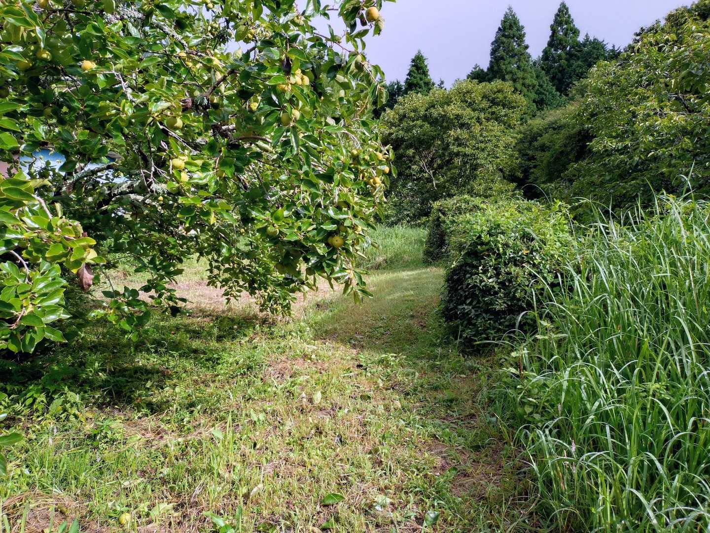 小泉登山口🅿️からスタートしました