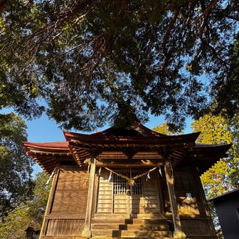 そして白山神社。
新年早々なので、お飾りが綺麗で良き。