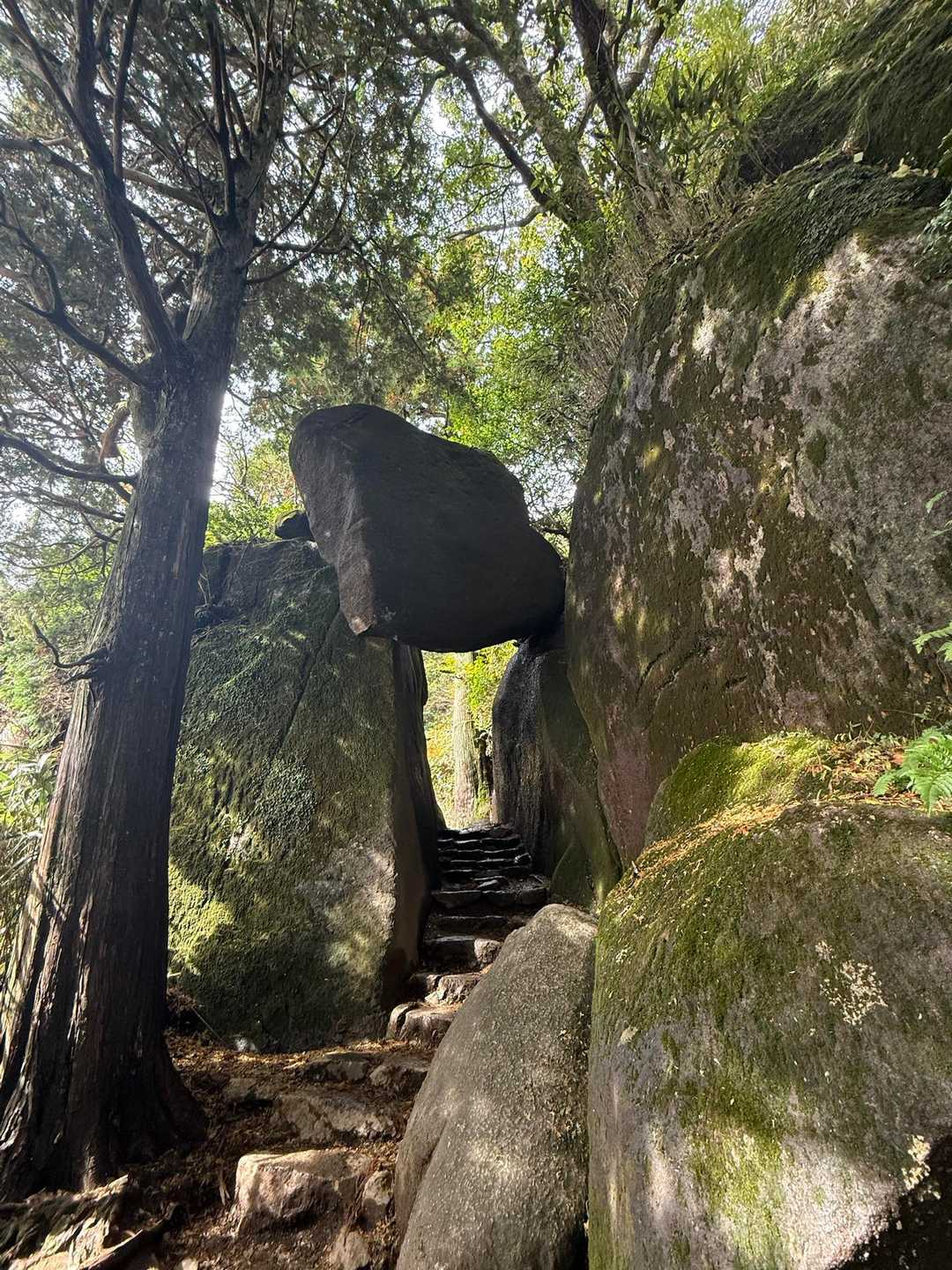 弁慶の七戻りって名前の岩🪨