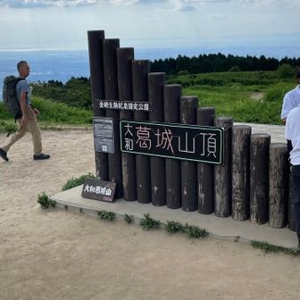 ナイトハイクバージョン