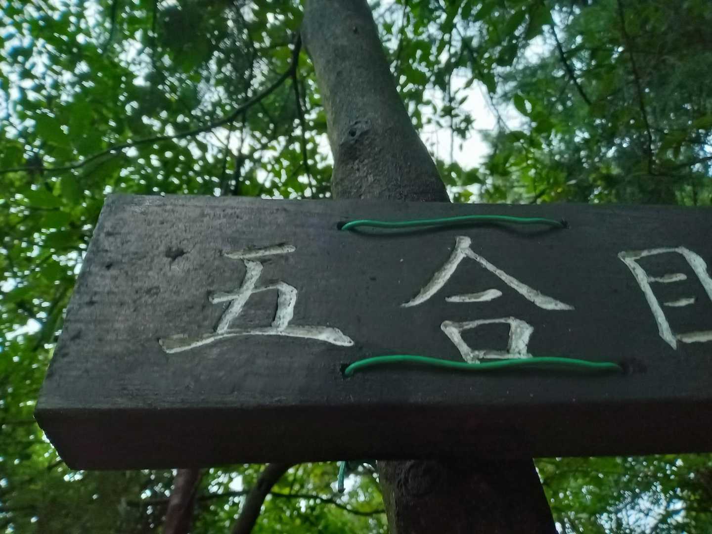 雨は降っていない