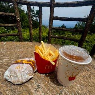 ほら。ダブルチーズバーガーちょい潰れてました（包装紙取り忘れた）。ビックマックだったとしても箱が凹んで中身も少し潰れてたかも…

何はともあれ
YAMACします

海を眺めながら

いただきマーック🍟🍔🍹