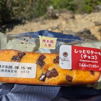 このケーキ好きだから持ってきたけどやっぱりダメだった(*_*)チョコ溶けとけ😭
食べれず冷たい水だけでも大満足👍