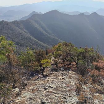 更に進むと、、、
ここに上がって来るがや、、、、