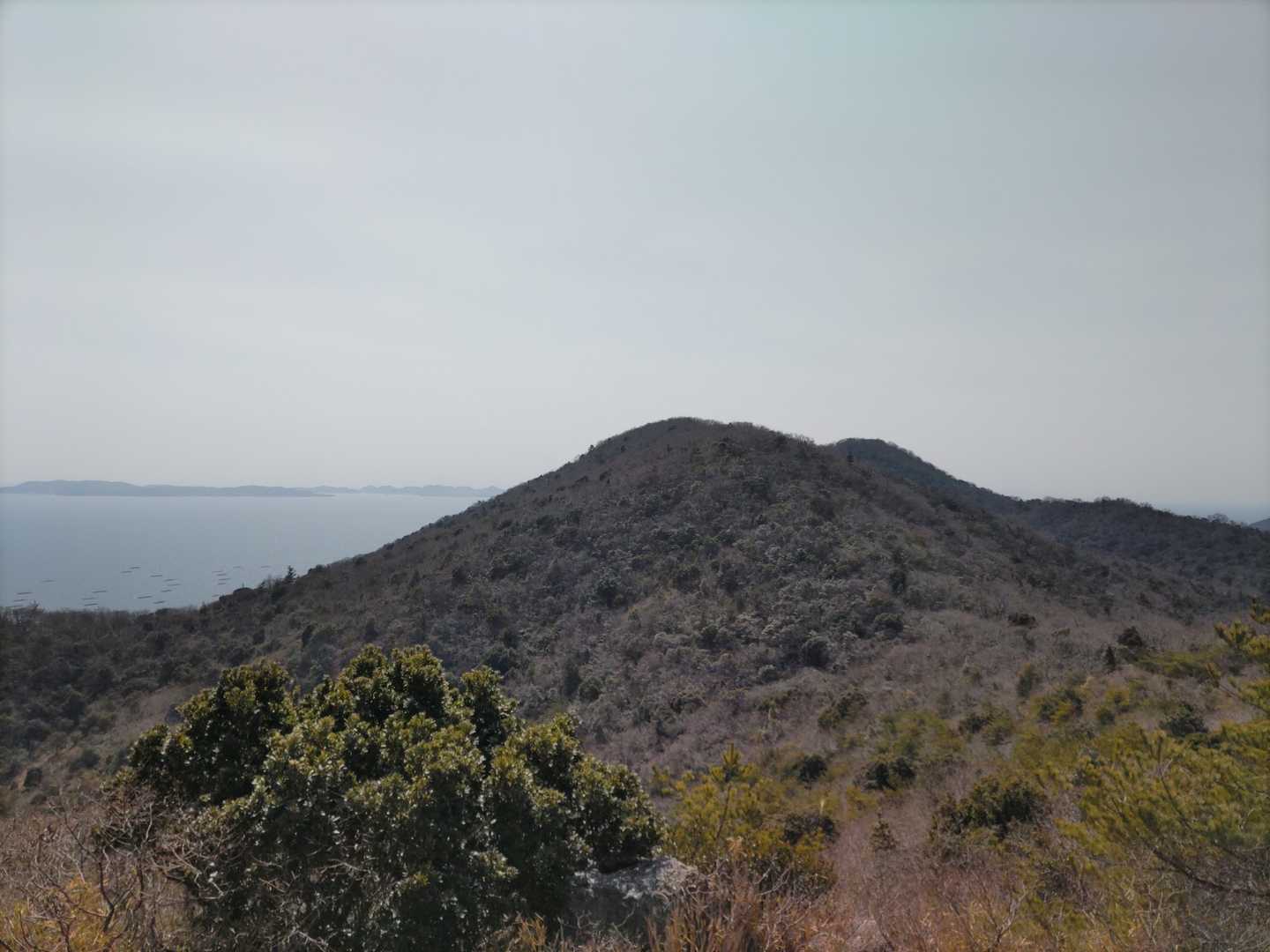 通ってきた山を見る！
ここの山急登！急こう配なんです。
木の杖探して、杖持って縦走しました。