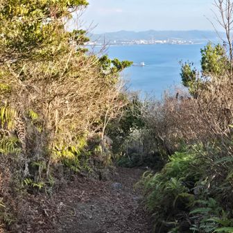 下るのね😨
…まぁ、そんな遠くないから、もう少しだけ行きますか🚶