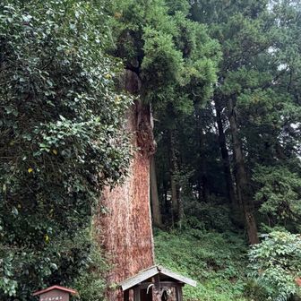 馬首の井戸　
戦に敗れた武将をかくまう際　
馬の首をはねて井戸に投げ入れたところ、
井戸からいななきが聞こえたとされる