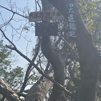 六道輪廻ケ岳に到着