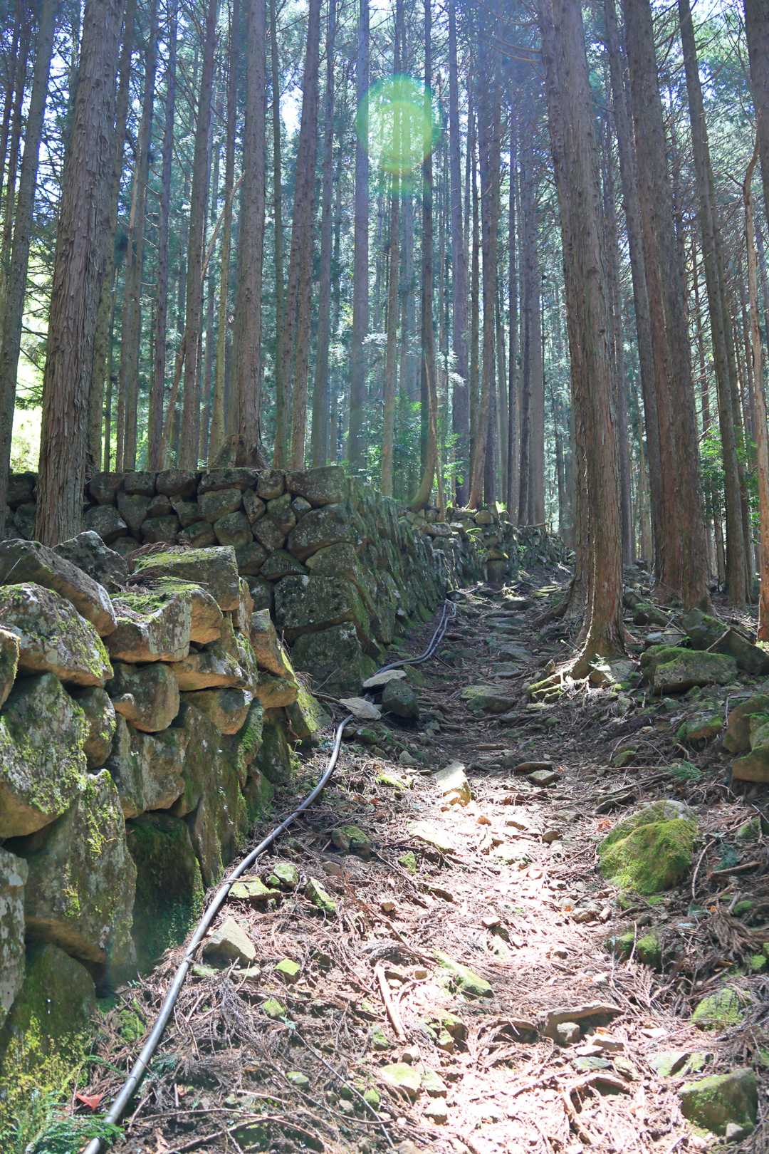 石垣の横が登山道です。
昔の水田跡？
