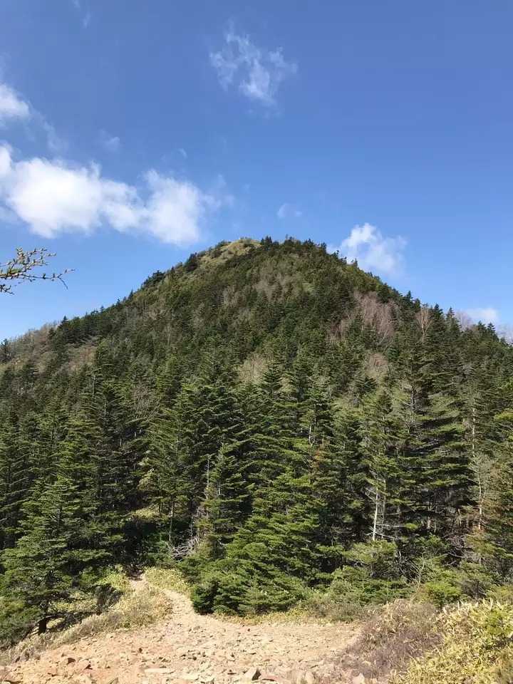 篭ノ登山（東篭ノ登山）の写真