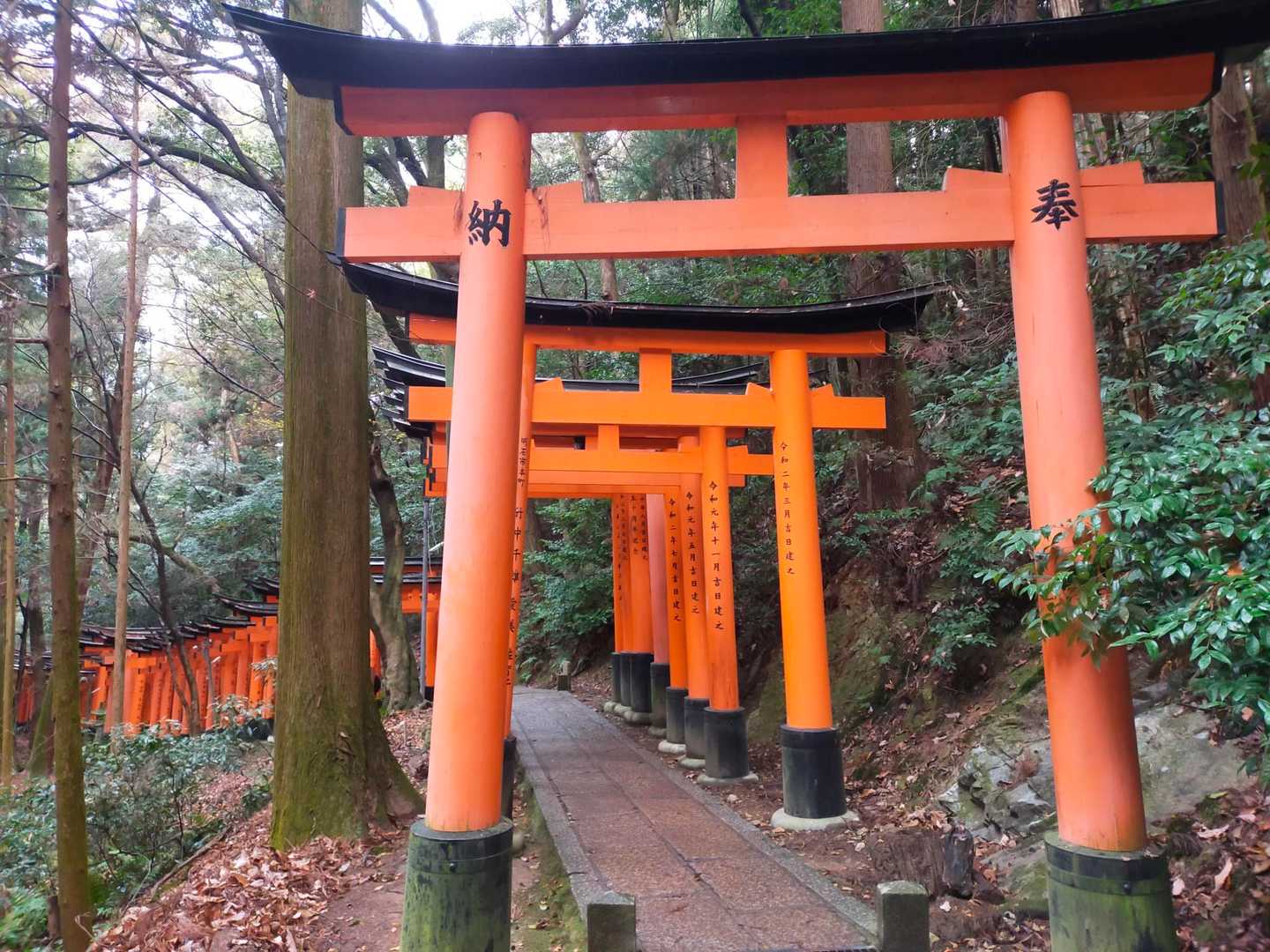 二ノ峰〜三ノ峰に向かいます