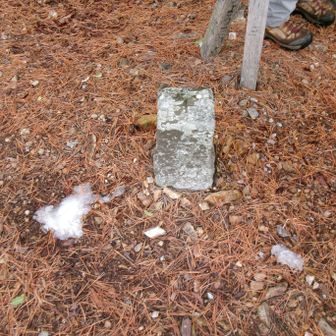 柏木山二等三角点　点名：行波村５１８．４ｍ（昼餉）