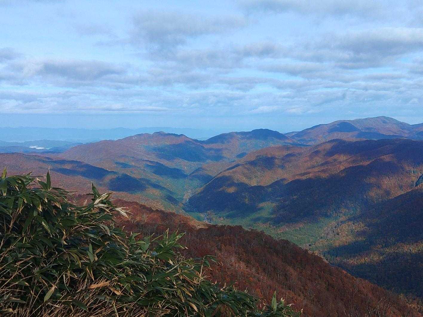 温見峠-能郷白山 往復コースの写真