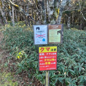 スタート地点のクマ看板　駐車場は8時の時点で半分くらい埋まってました。