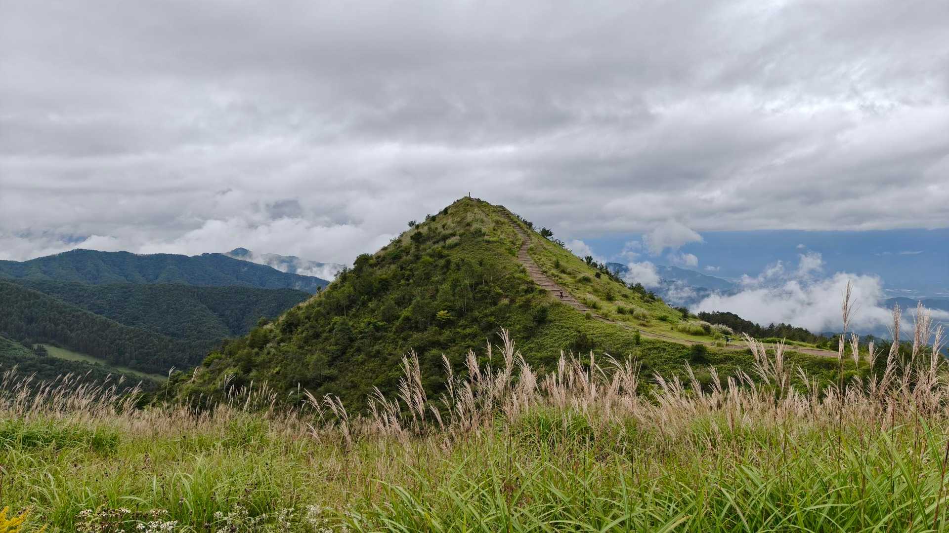 すすき越しのさっきまでいた飯盛山😚
大盛山に移動してきました。