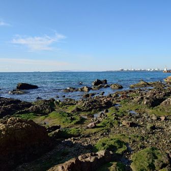 満潮だとこの辺りは海の中