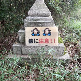 そうなんや