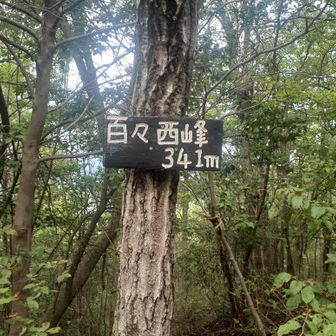 百々西峰