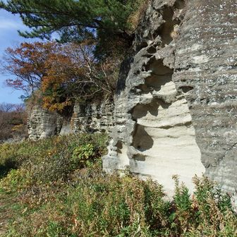 大切岸ですね。
