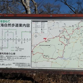 ここも丹沢の一部なんですね。