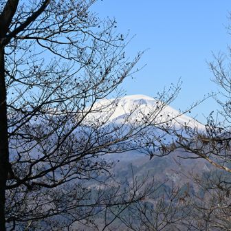浅間山も木々の間から綺麗に見えました