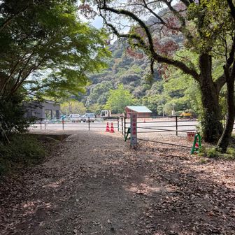 駐車場が見えます