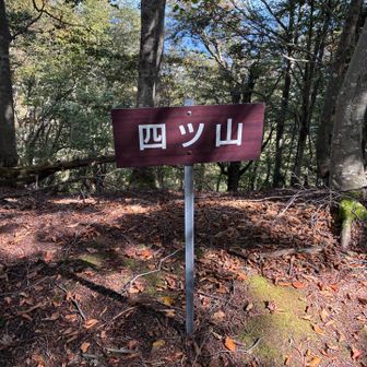 四ツ山