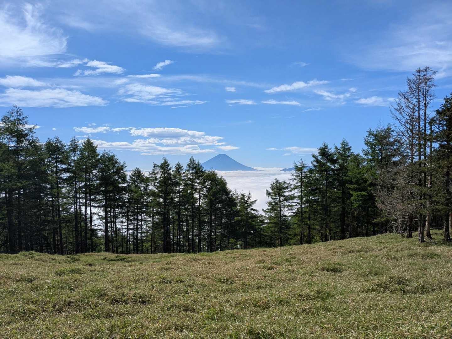 富士山も見えてます🗻