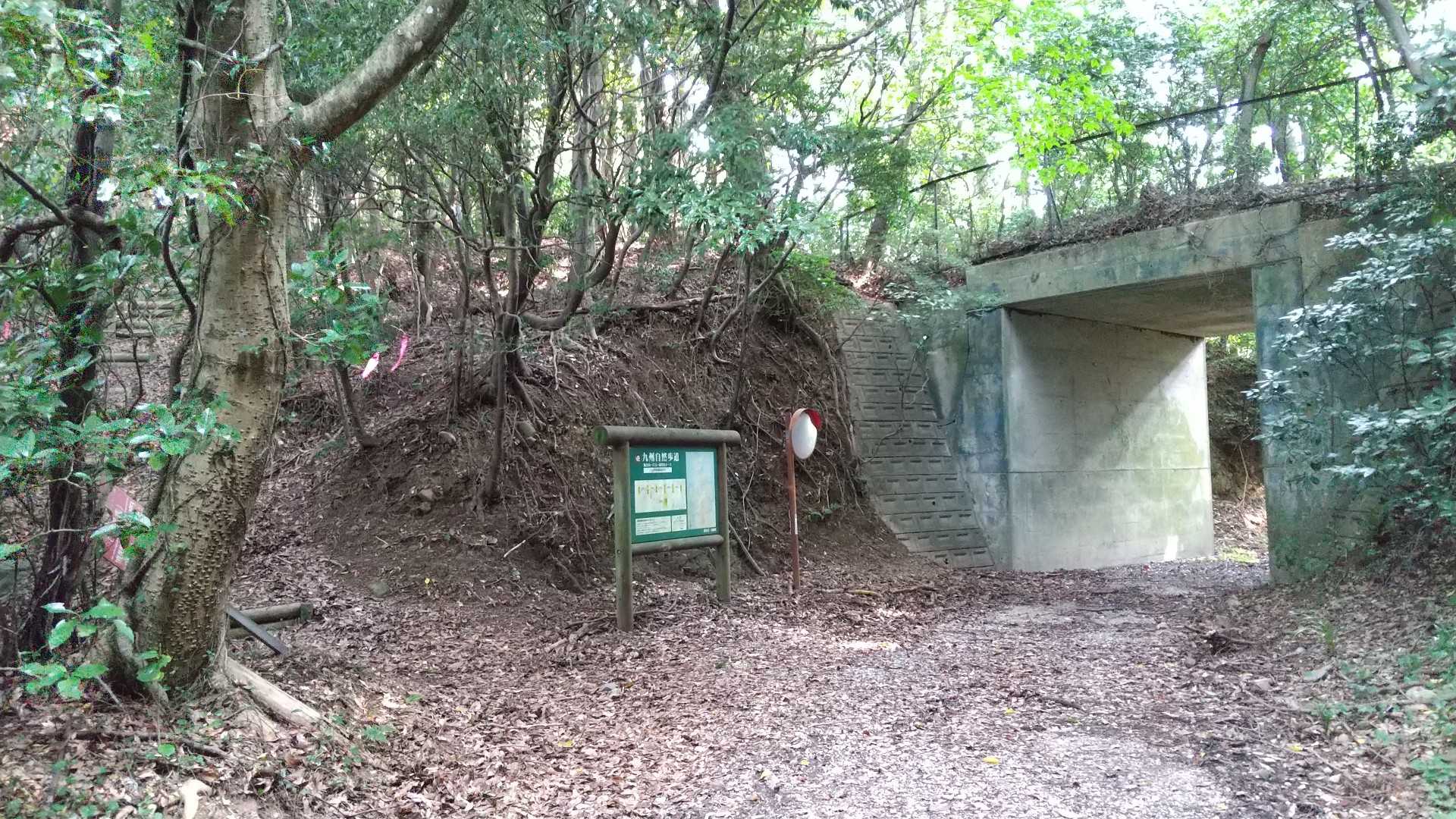 市の瀬峠-白畑山 往復コースの写真