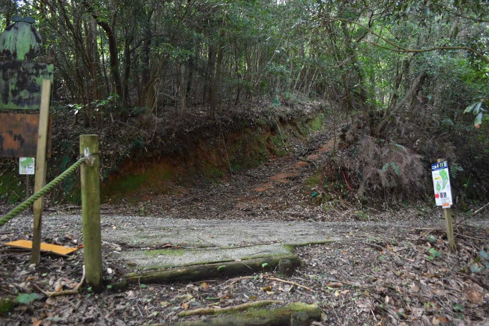 分岐を直進。

左はショートカットコース。