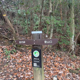 何故撮ったのか覚えてない！