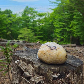 最近ハマってる玄米おにぎり🍙