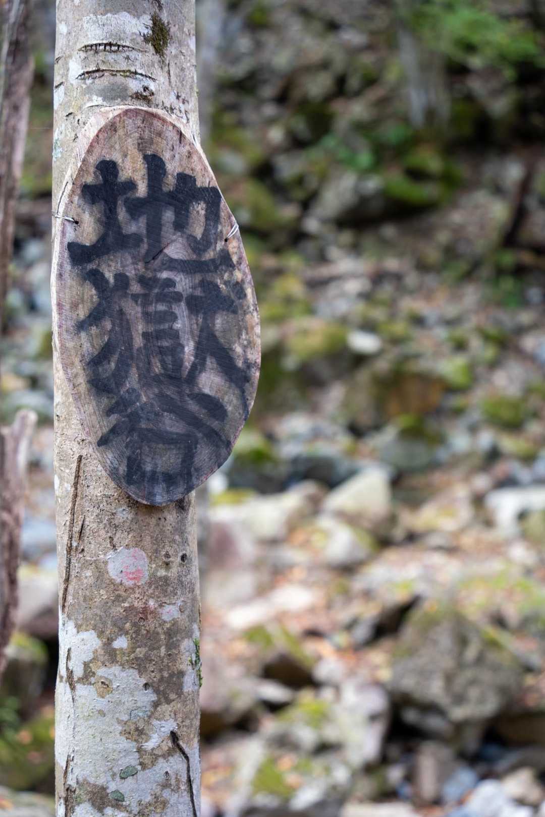 まさに地獄💦
目印が見つからないときはＧＰＳで確認してルートに復帰していました😊