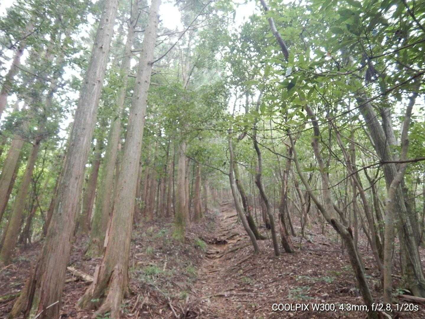 気持ちの良い道😆