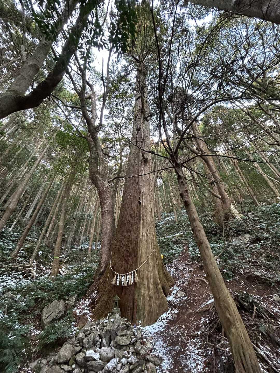 天の岩戸-逢坂峠-逢坂山 往復コースの写真