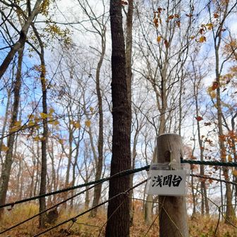 しばらく進んだ先のこちらは浅間台というお山、だったらしい。
知らなかった😱
YAMAP地図を使うようになってから、知らないお山がわんさか出てくる！
そしてYAMAP地図のルートの色がいつの間にか変わりましたね！？