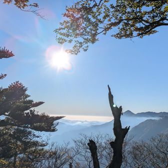 雲海