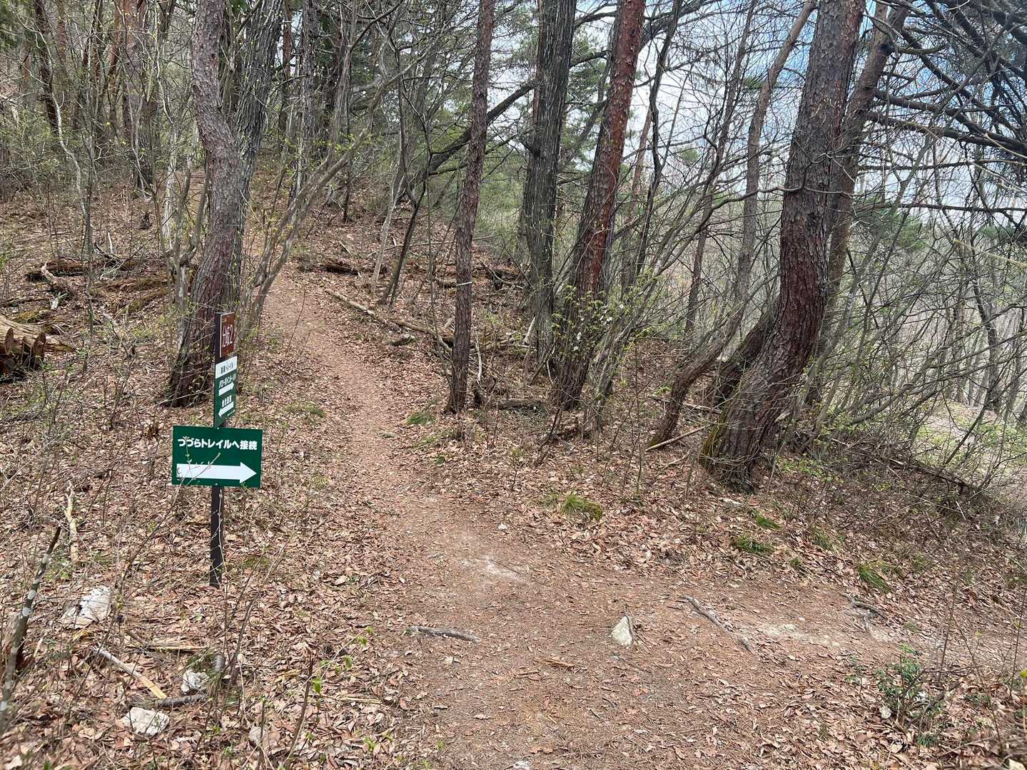 整備されてる登山道
