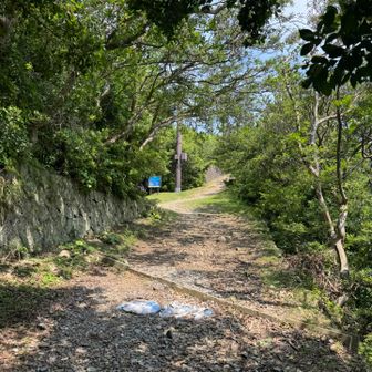 次は灯台に登ってみます