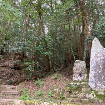 下山して来た。